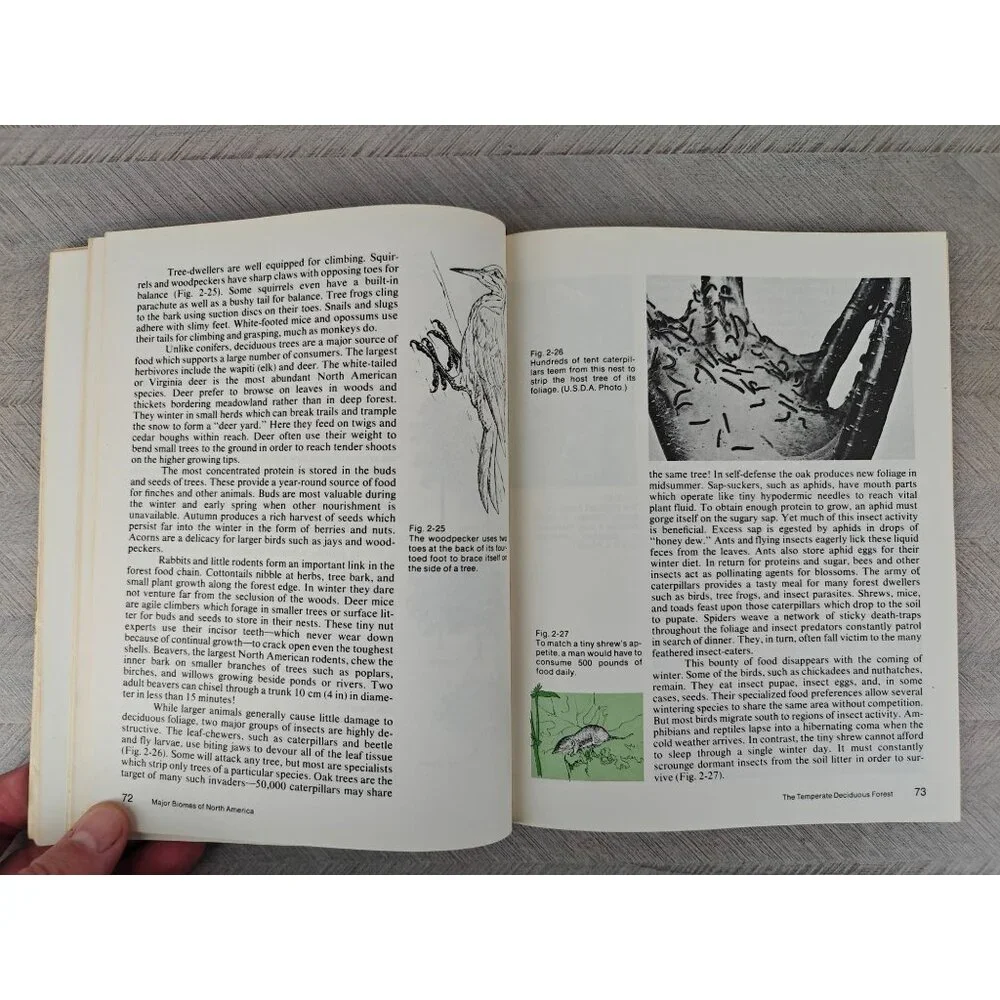 Terrestrial Ecology William A. Andrews Editor 1974 1st Edition Paperback